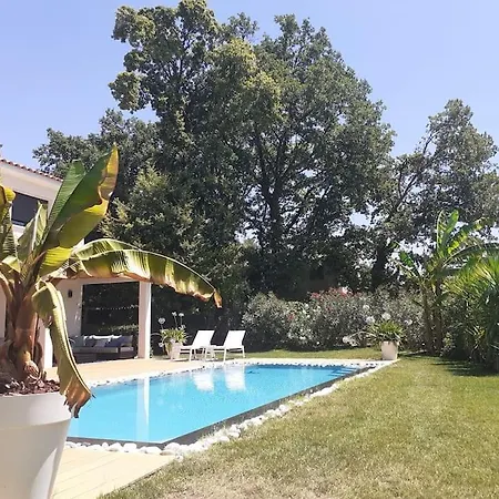 Belle 10 Pers Dans Le Sud De La France Villa *